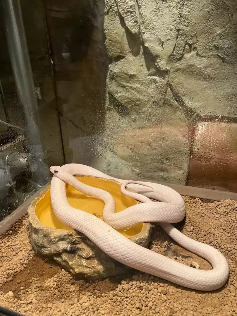 深圳好去處|野恩動物樂園(海雅店)