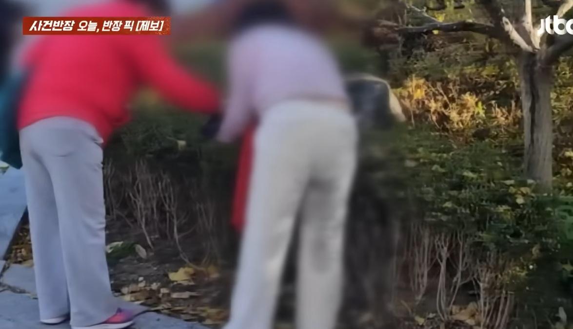 爆料者指,在灌木叢中蹲著的女子穿白褲,褲上有污漬。(互聯網)