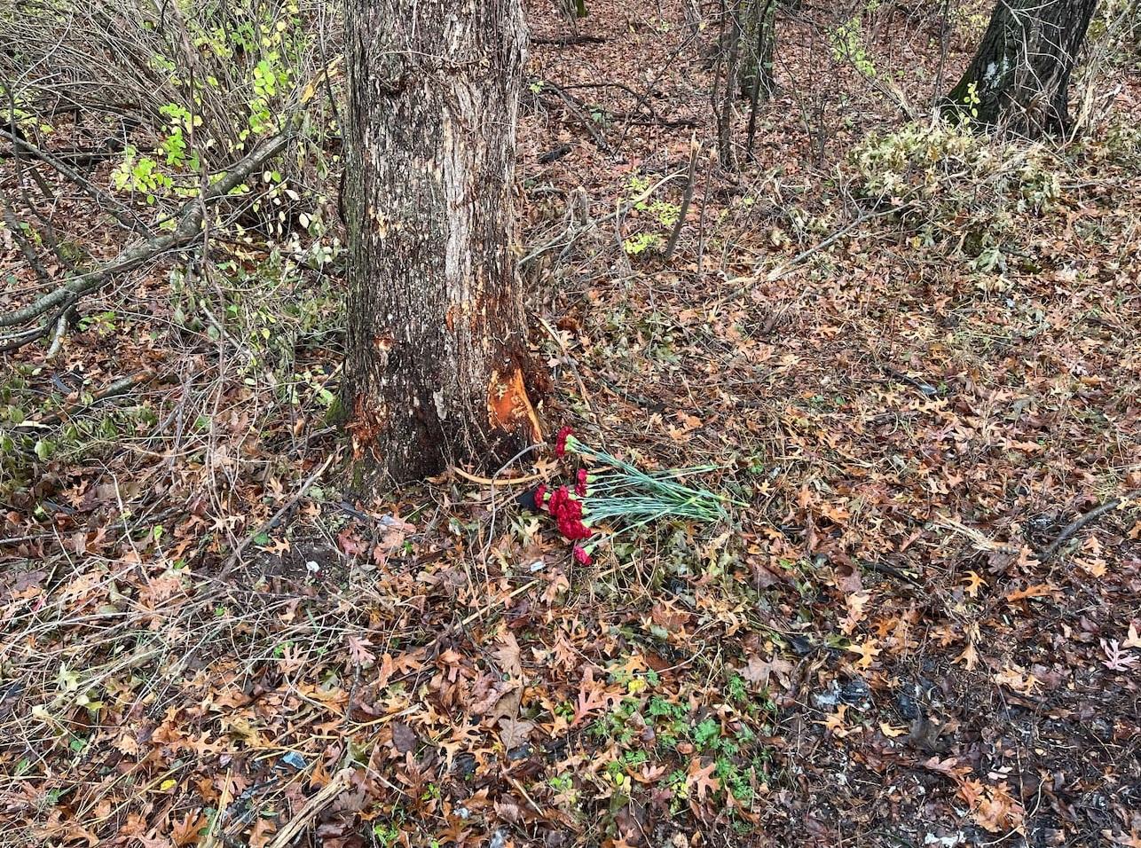 案中Tesla Model S去年11月1日在威斯康辛州麥迪遜郊區維羅納(Verona)衝出公路撞樹釀5死,事後有民眾在現場放置鮮花悼念死者 。(互聯網)