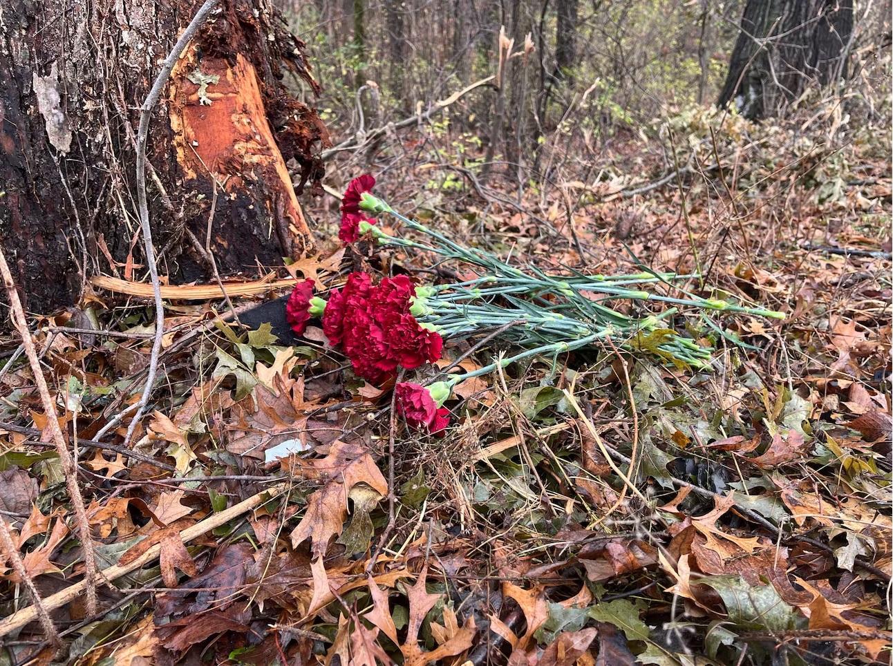 案中Tesla Model S去年11月1日在威斯康辛州麥迪遜郊區維羅納(Verona)衝出公路撞樹釀5死,事後有民眾在現場放置鮮花悼念死者 。(互聯網)