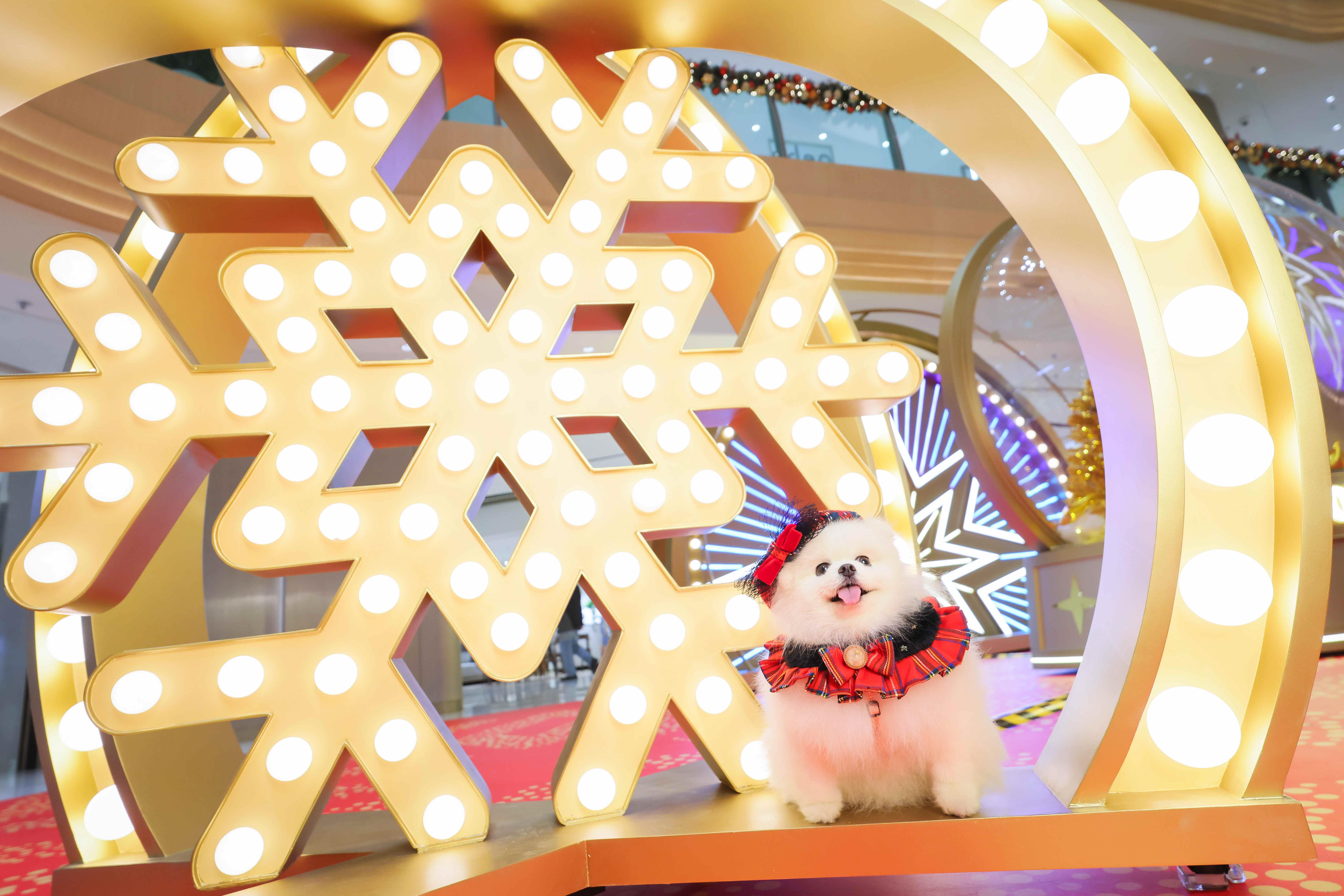 THE SOUTHSIDE 聖誕「Dazzling Christmas」10 米高巨型星光聖誕樹 華麗聖誕舞台