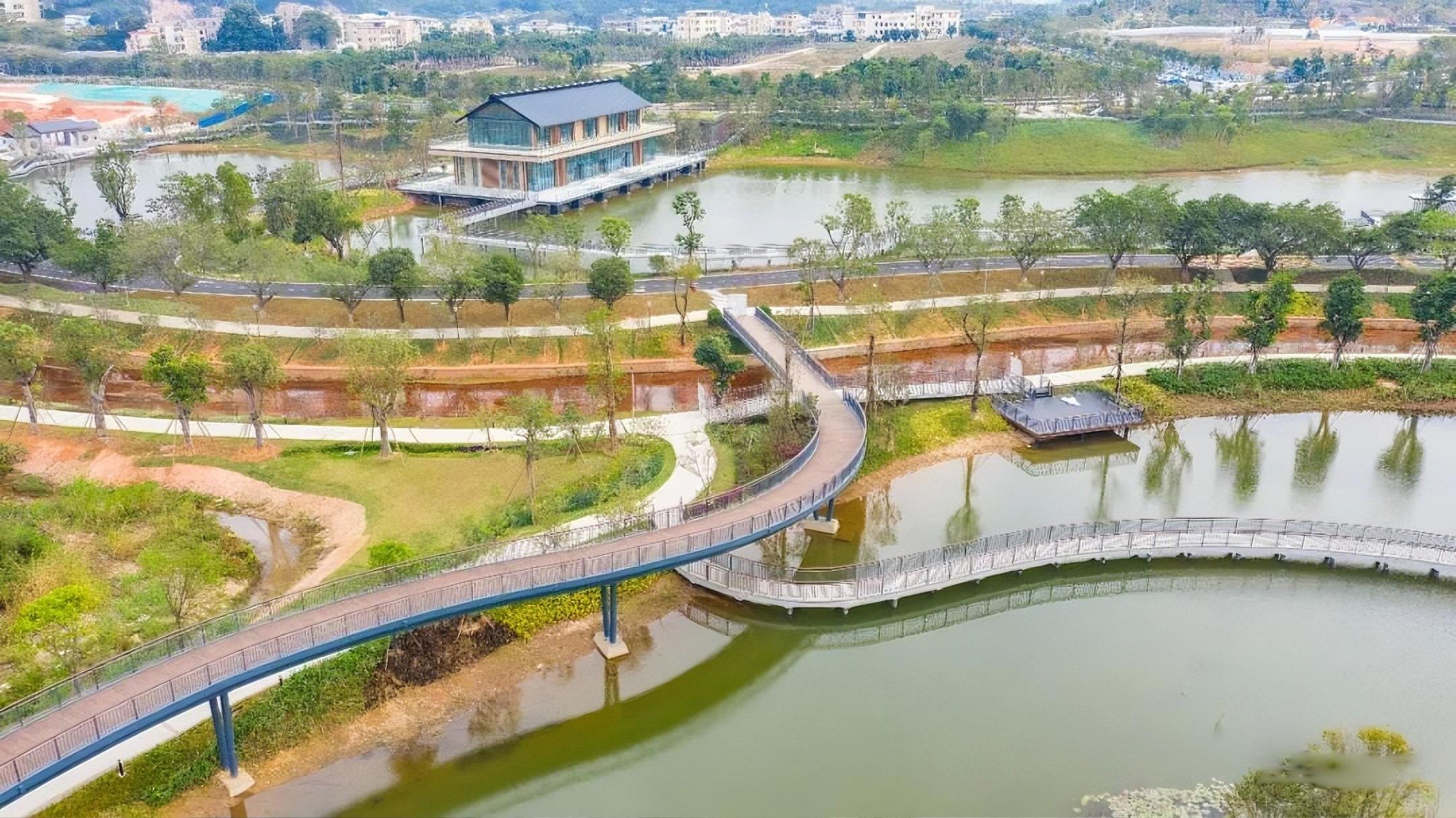 中山金鐘湖公園長約12公里,是一道環湖綠道,四季有不同花海,秋季有粉黛亂子草,冬天則有落羽杉林。(圖片來源:中山市文化廣電旅遊局)