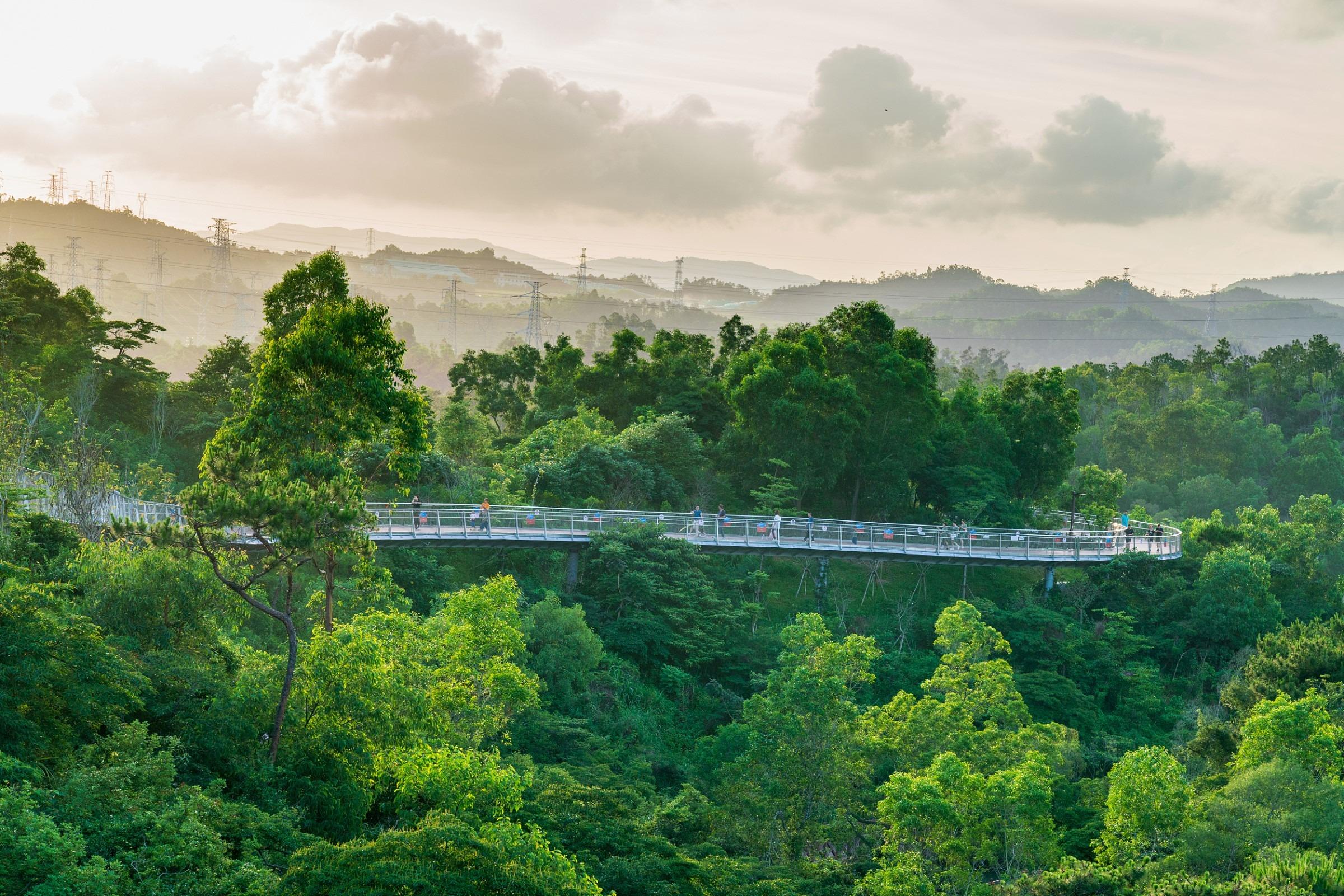 穿梭在山中的香山云道,有如林山秘道,景色醉人。(圖片來源:視覺中國)