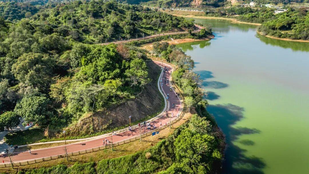 全長6公里的玄碧湖環湖綠道,環繞大洞水庫而行,沿路青山綠水盡收眼底。(圖片來源:惠州市廣電旅遊體育局)