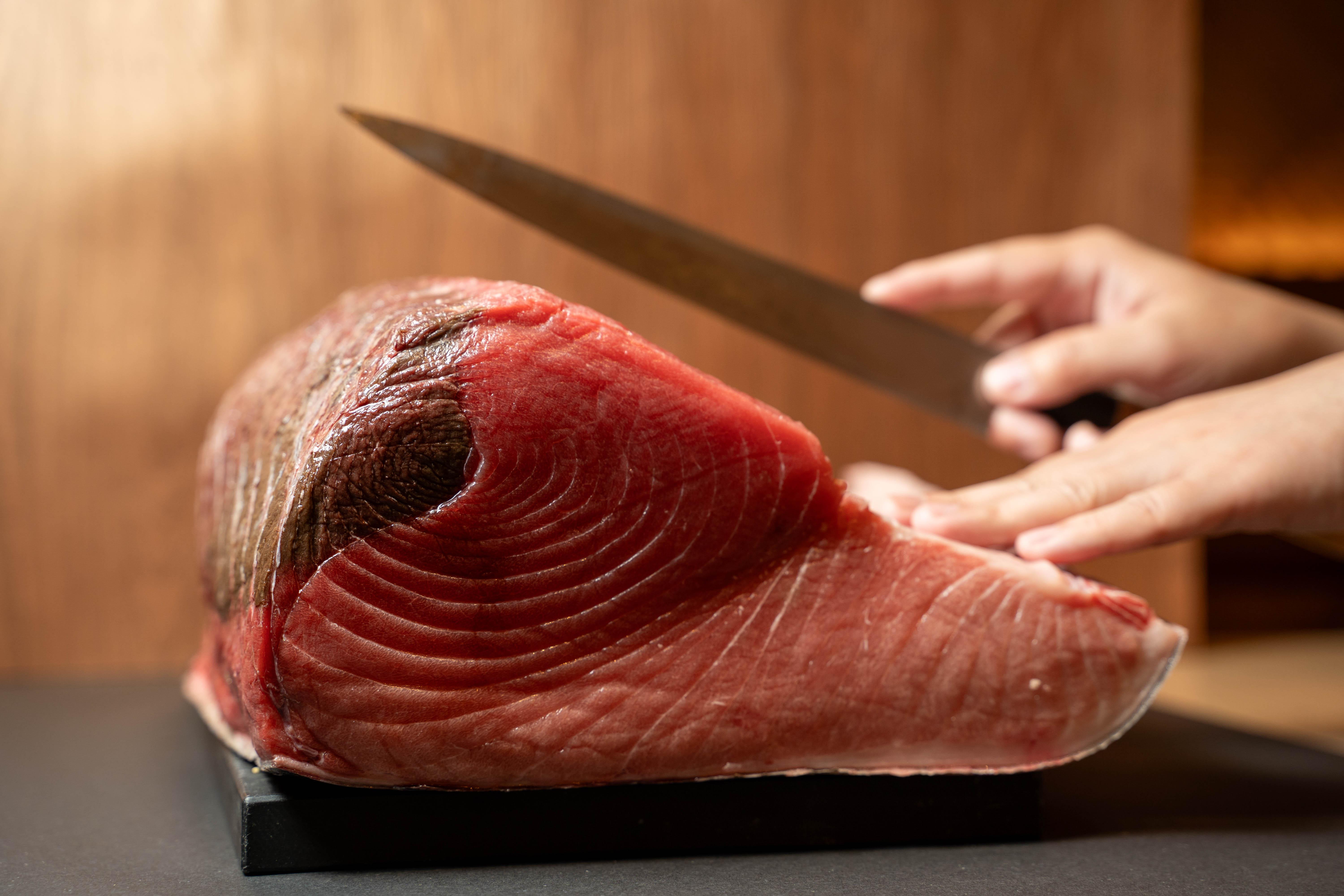 鮨樂與山幸建立了穩定關係,能直送魚脂豐厚、肉質細膩的吞拿魚。