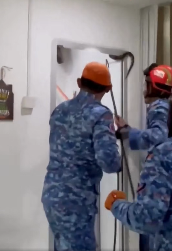 極度恐怖60公斤大蟒蛇侵民居 壓破浴室假天花從天而降(有片)