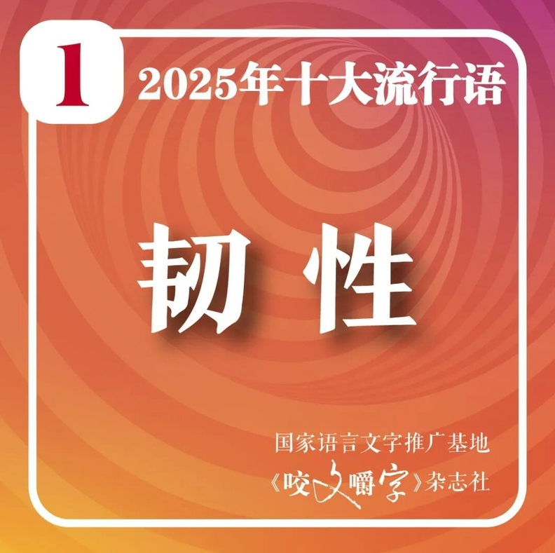 《咬文嚼字》公布本年度內地十大流行語。(互聯網)