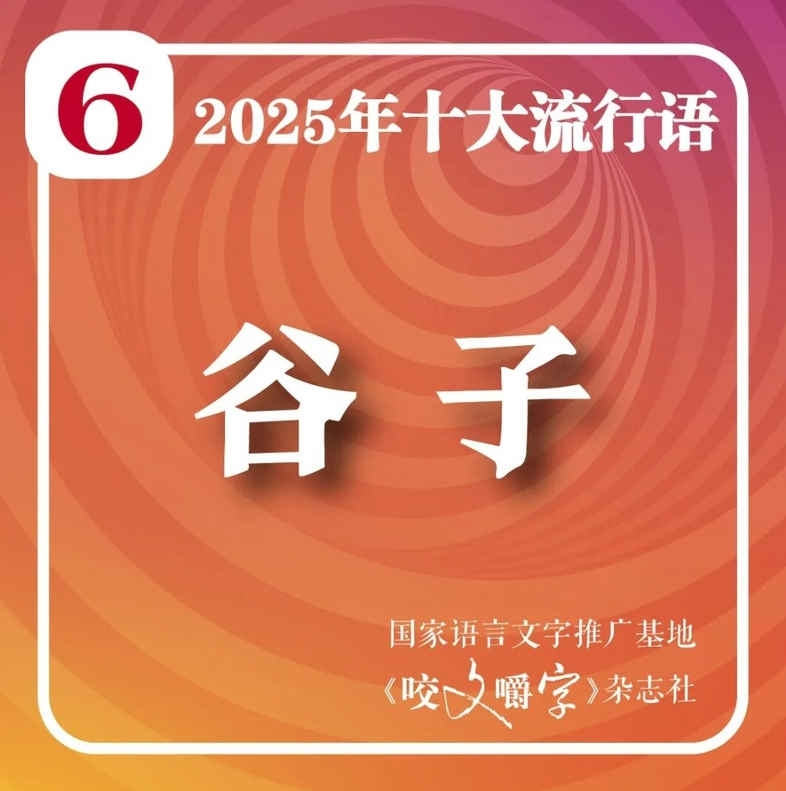 《咬文嚼字》公布本年度內地十大流行語。(互聯網)