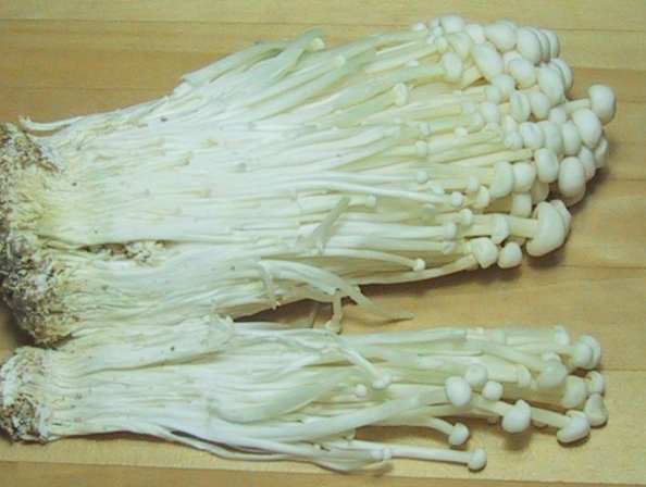 金菇被稱為「see you tomorrow」。(互聯網)