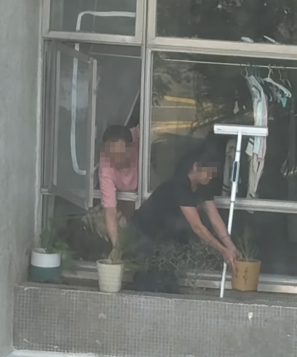 海怡半島一名外傭站出窗外花槽抹窗。(facebook群組「海怡半島討論區」影片)
