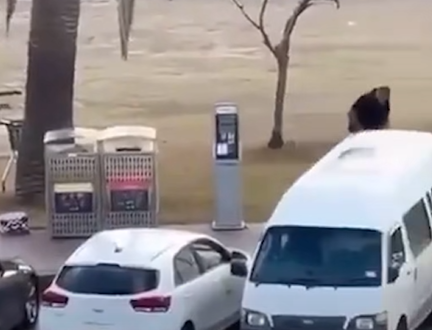 網上流傳片段,據報是一名男子從後搶槍一刻。(互聯網)