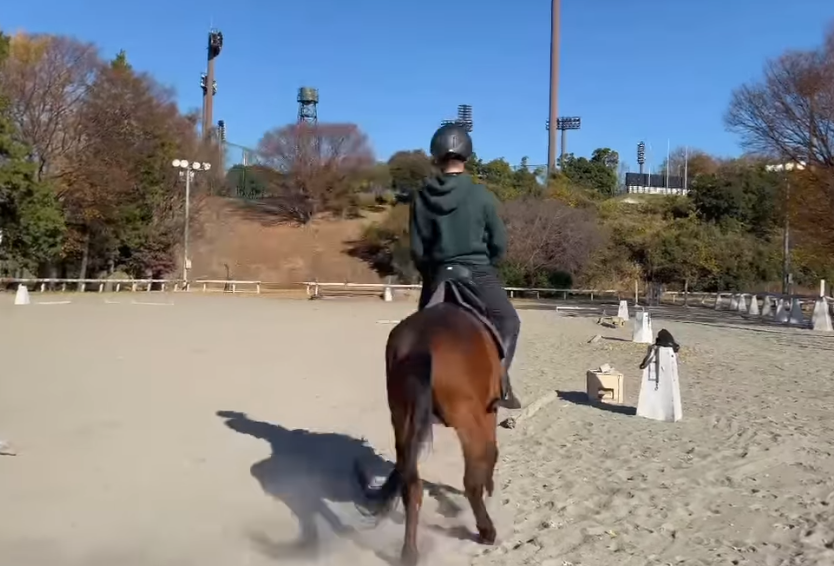 一名日本男子在馬術訓練場訓練,馬匹不斷想把他從身上甩下來,男子倒下一度以手撐地在馬首前「爬」了一小段路,畫面恍如「六腳馬」。(影片來源:IG@junsu4724)