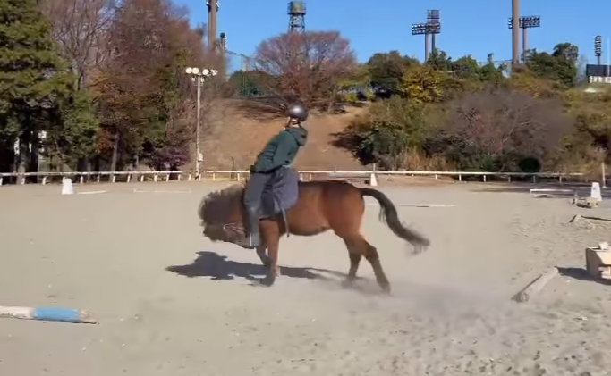 一名日本男子在馬術訓練場訓練,馬匹不斷想把他從身上甩下來,男子倒下一度以手撐地在馬首前「爬」了一小段路,畫面恍如「六腳馬」。(影片來源:IG@junsu4724)