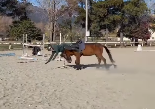 一名日本男子在馬術訓練場訓練,馬匹不斷想把他從身上甩下來,男子倒下一度以手撐地在馬首前「爬」了一小段路,畫面恍如「六腳馬」。(影片來源:IG@junsu4724)