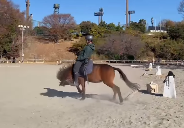 一名日本男子在馬術訓練場訓練,馬匹不斷想把他從身上甩下來,男子倒下一度以手撐地在馬首前「爬」了一小段路,畫面恍如「六腳馬」。(影片來源:IG@junsu4724)