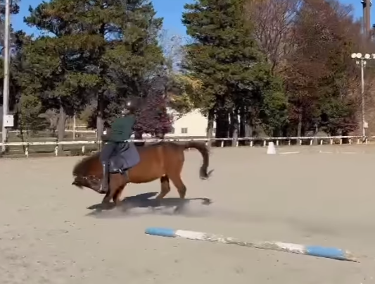 一名日本男子在馬術訓練場訓練,馬匹不斷想把他從身上甩下來,男子倒下一度以手撐地在馬首前「爬」了一小段路,畫面恍如「六腳馬」。(影片來源:IG@junsu4724)