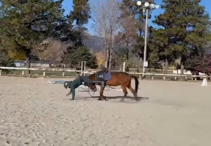 一名日本男子在馬術訓練場訓練,馬匹不斷想把他從身上甩下來,男子倒下一度以手撐地在馬首前「爬」了一小段路,畫面恍如「六腳馬」。(影片來源:IG@junsu4724)