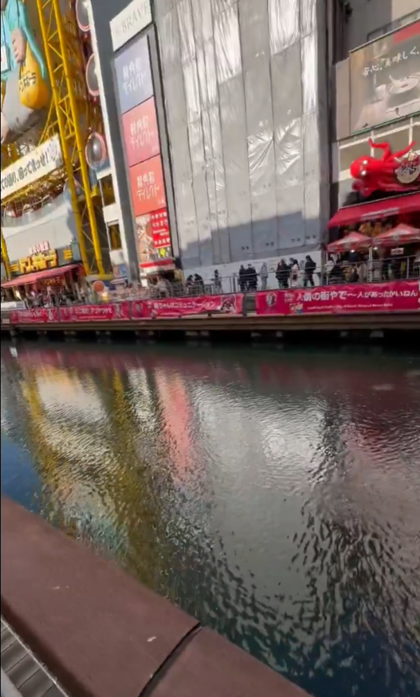 大阪道頓堀河突現大量魚群 日本網民:大地震先兆?(有片)