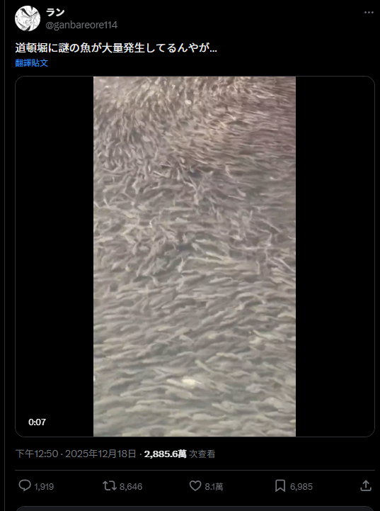 大阪道頓堀河突現大量魚群 日本網民:大地震先兆?(有片)