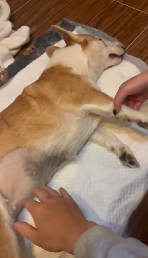 @FB Kray Ronald 影片截圖