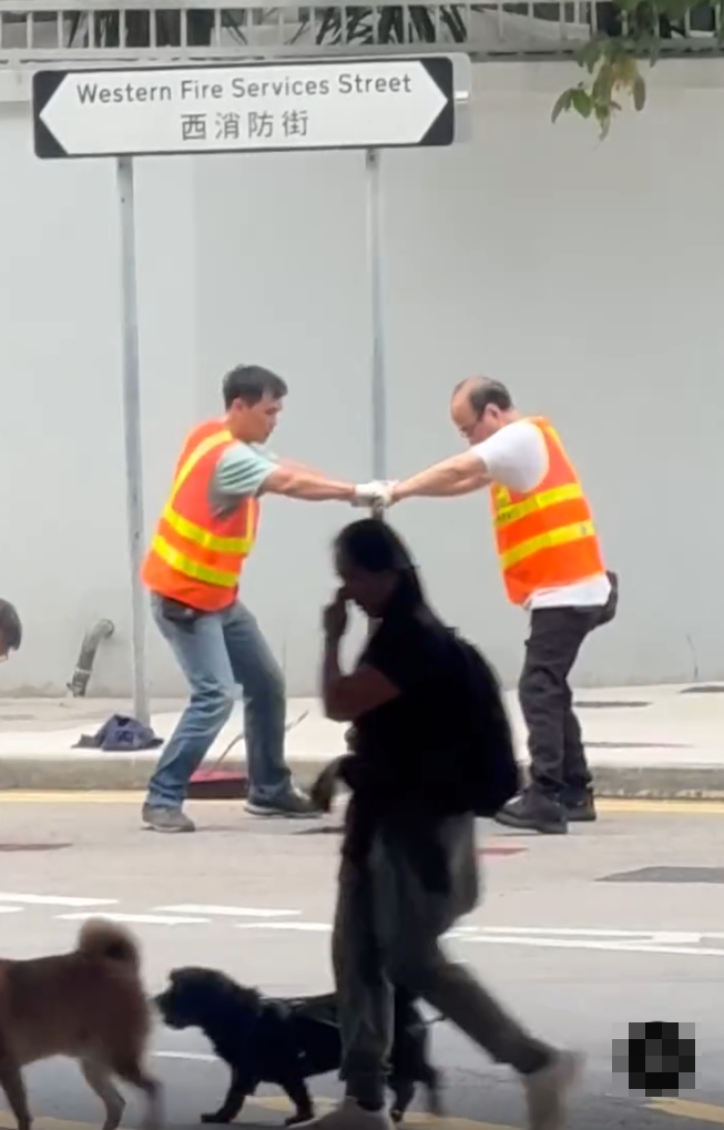 上環西消防街兩名工人在馬路進行維修工作開關水掣,他們面對面、雙手交疊合力轉動閥門的動作極具默契,遠看彷彿是一對正在跳華爾茲舞的拍擋。另外,影片可見附近恰巧有三隻狗路過,成為網民「錯重點」討論對象。(Threads)