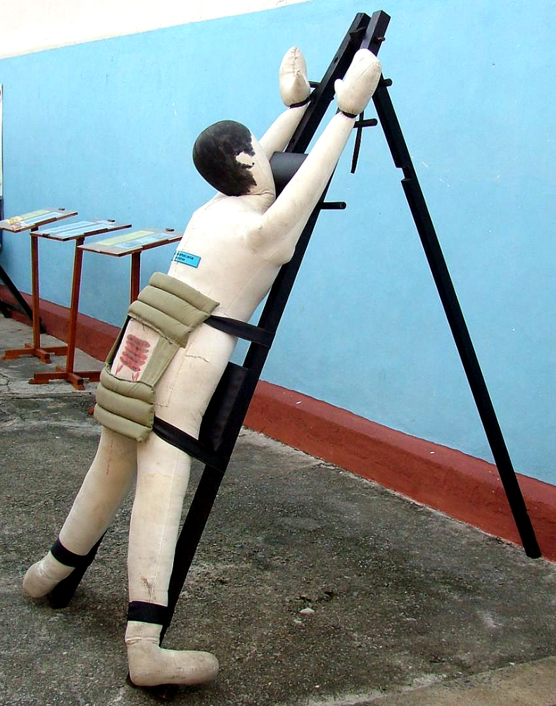 新加坡打擊詐騙犯鞭刑生效(資料圖片)