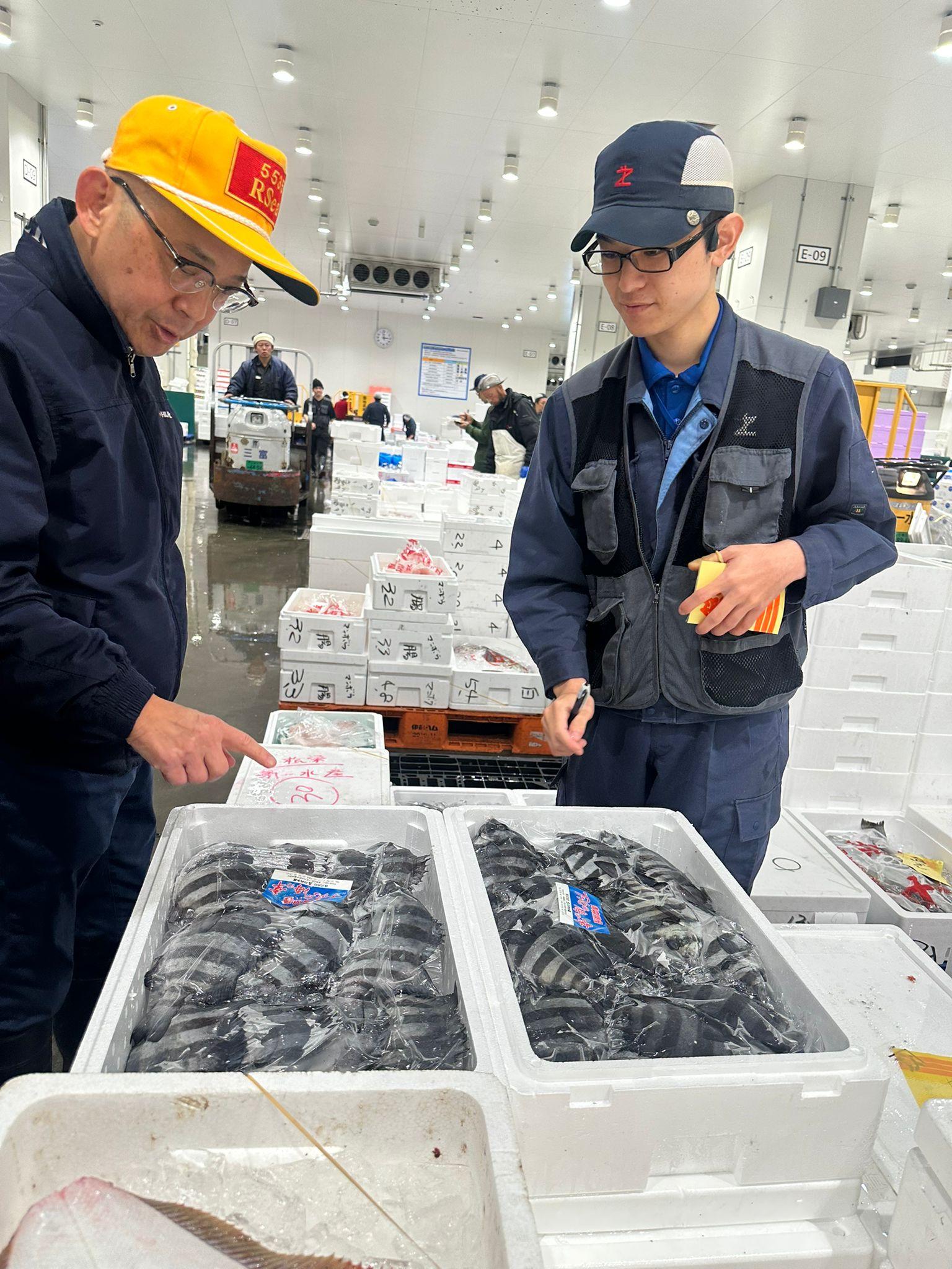 鮨樂日本同事每天於豐州市場採購香港店舖需要的藍鰭吞拿及其他海鮮食材。