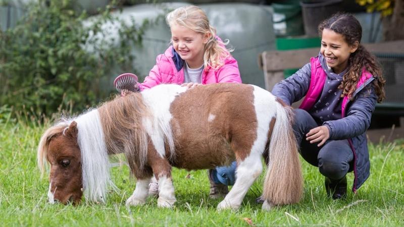 Pumuckel最愛被孩子「搲痕」和擁抱。(X)