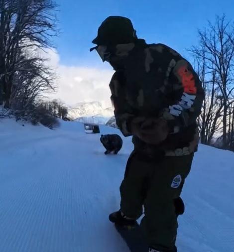 幸好牠追不上黑木誠,最終放棄躲回樹叢。(IG)