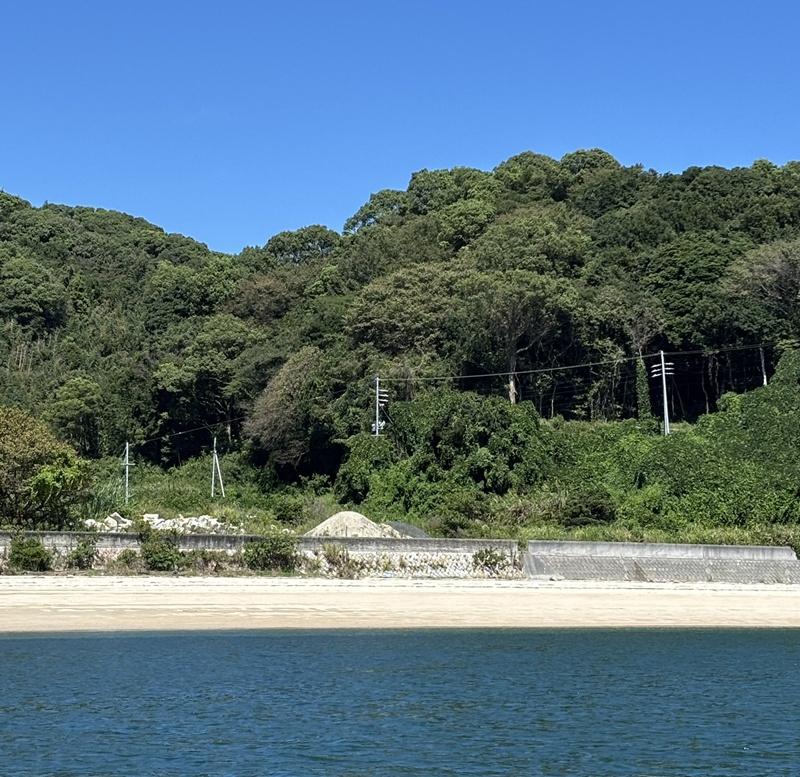 上海的買家,已購入島上約3,700平方公尺土地,現場已可見重機具與電線桿設置。(X)