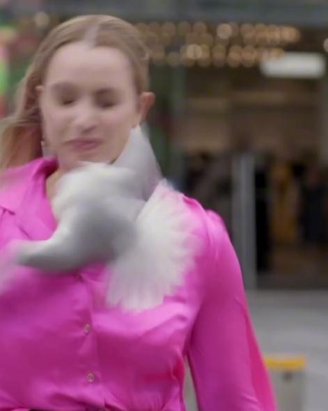 一隻海鷗急速俯衝撞擊臉部,Jessica痛得以手遮蔽臉部。(IG)