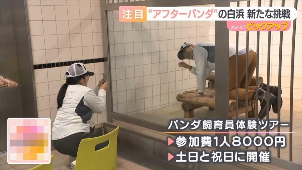 遊客可進入過去熊貓生活的內部空間。(YouTube)