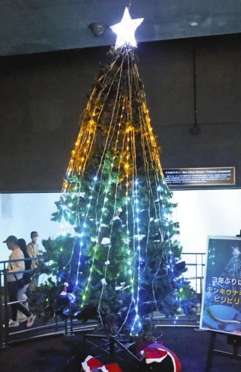 5米高聖誕樹上有約2,000顆LED燈。(X)