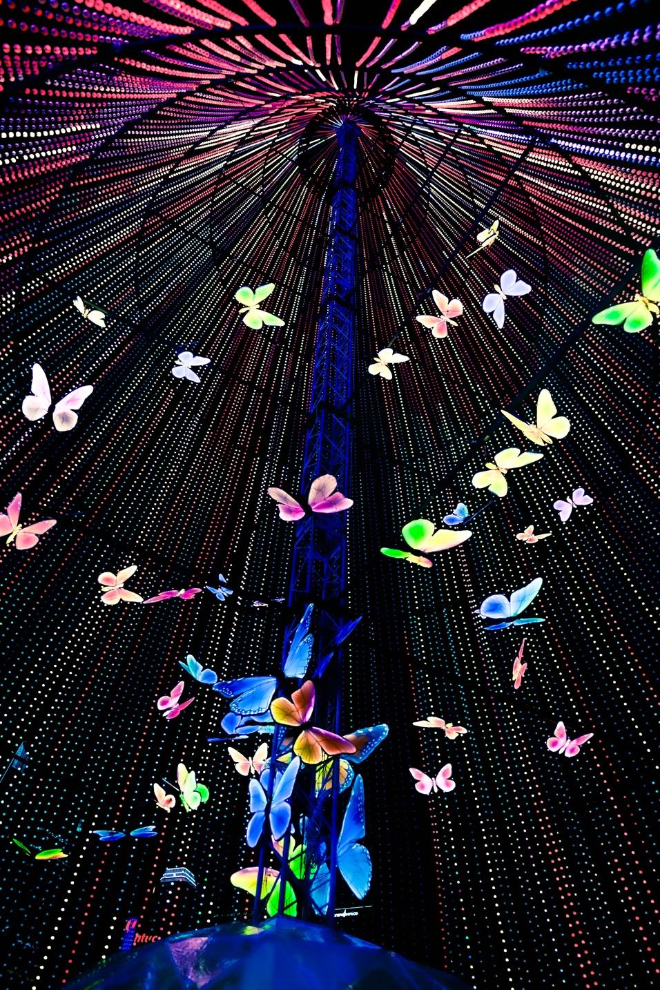 「Festilumi光影許願樹」內部,有漫天發光蝴蝶飛舞。