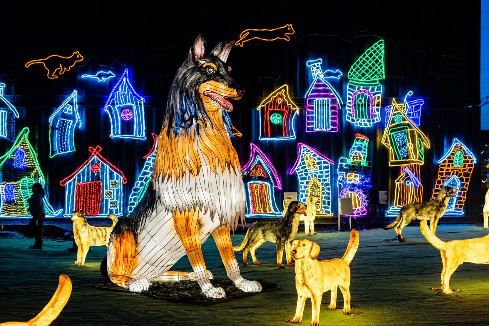 「萌寵天地」布滿發光毛孩。