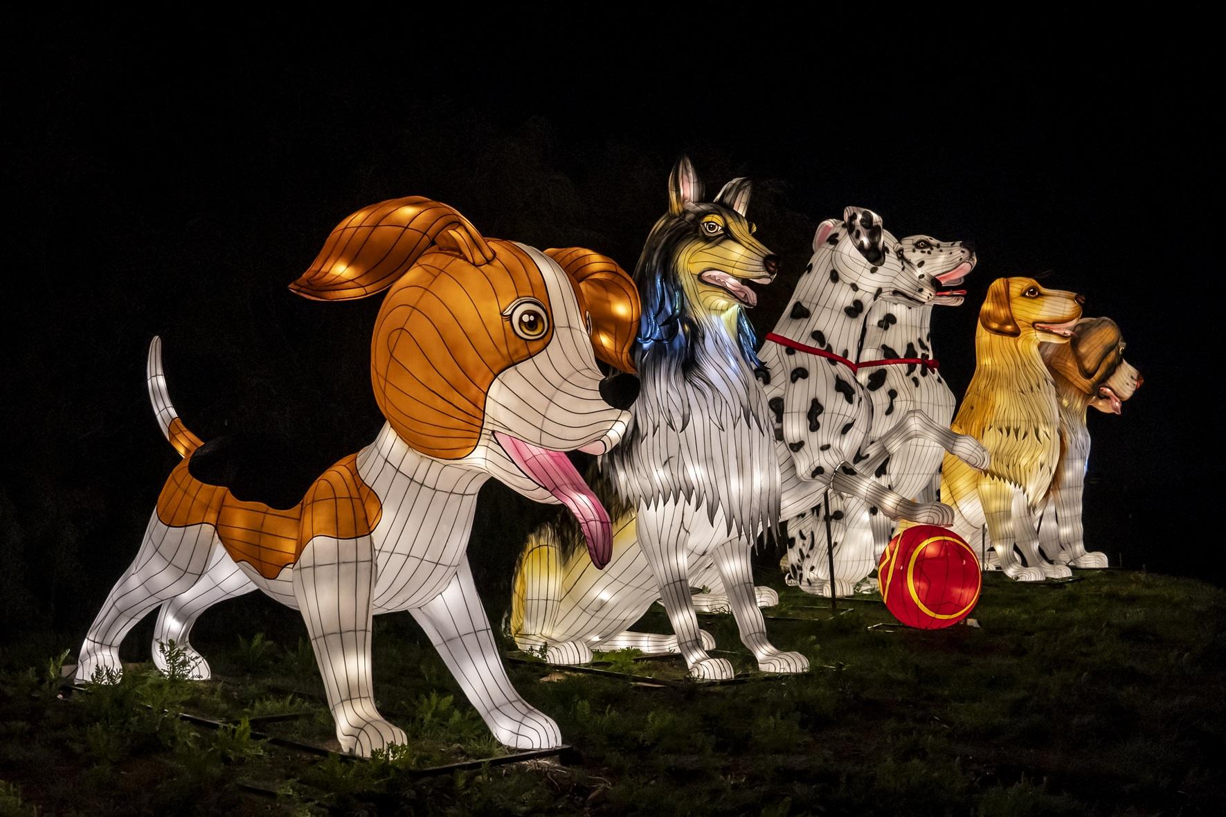 Festilumi以超過20,000件獨一無二發光雕塑,將灣仔海濱長廊構築成一個前所未有的沉浸式光影宇宙。