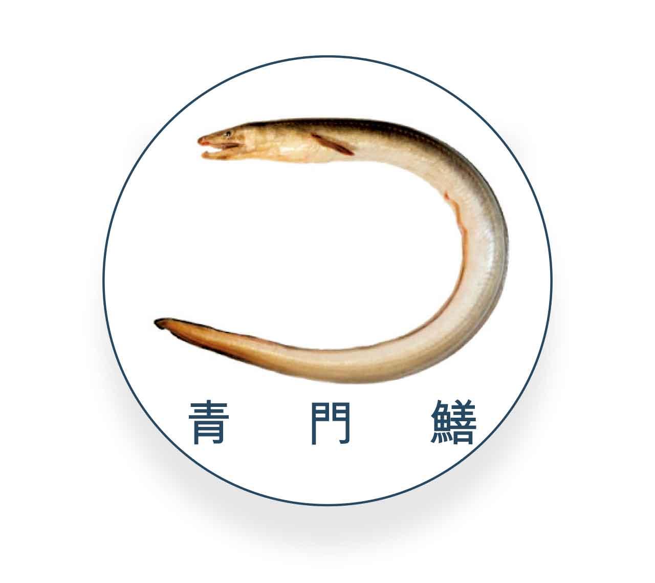 青門鱔