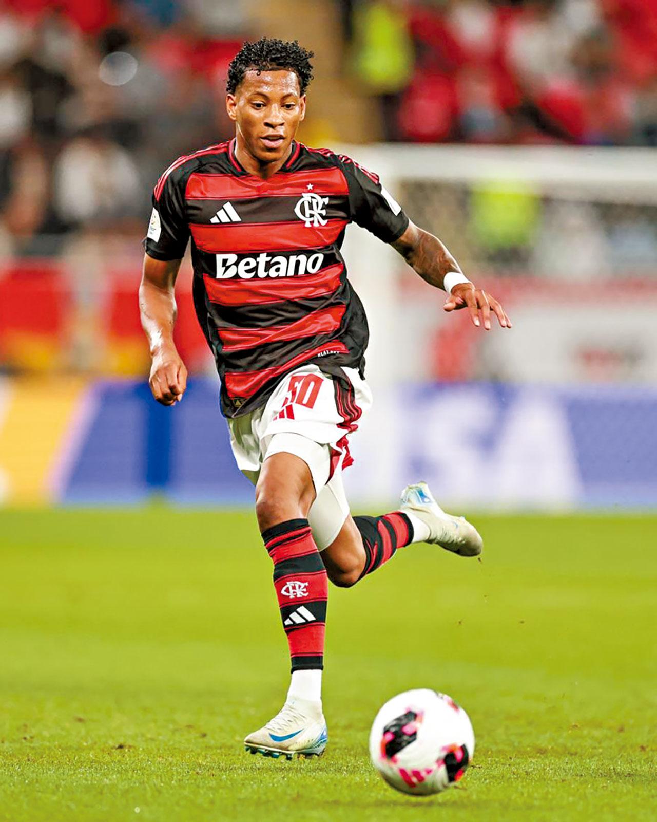 法林明高 普拉塔