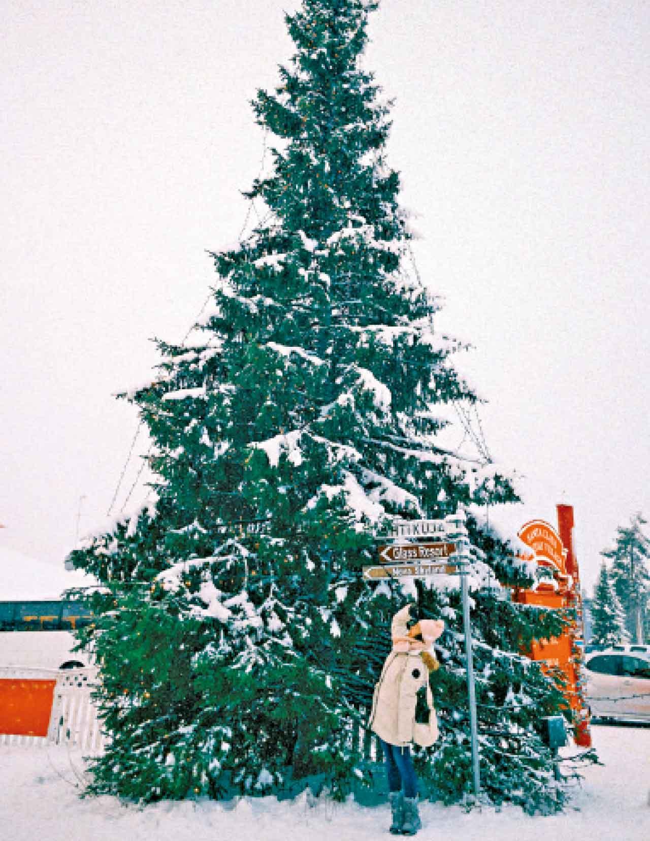 探訪芬蘭聖誕老人村