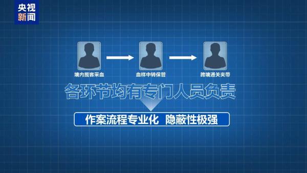 透過網路摸排發現,部分犯罪團伙透過網路平台,以胎兒性別鑑定名義收集孕婦血液,走私到境外進行化驗。。(《央視新聞》)