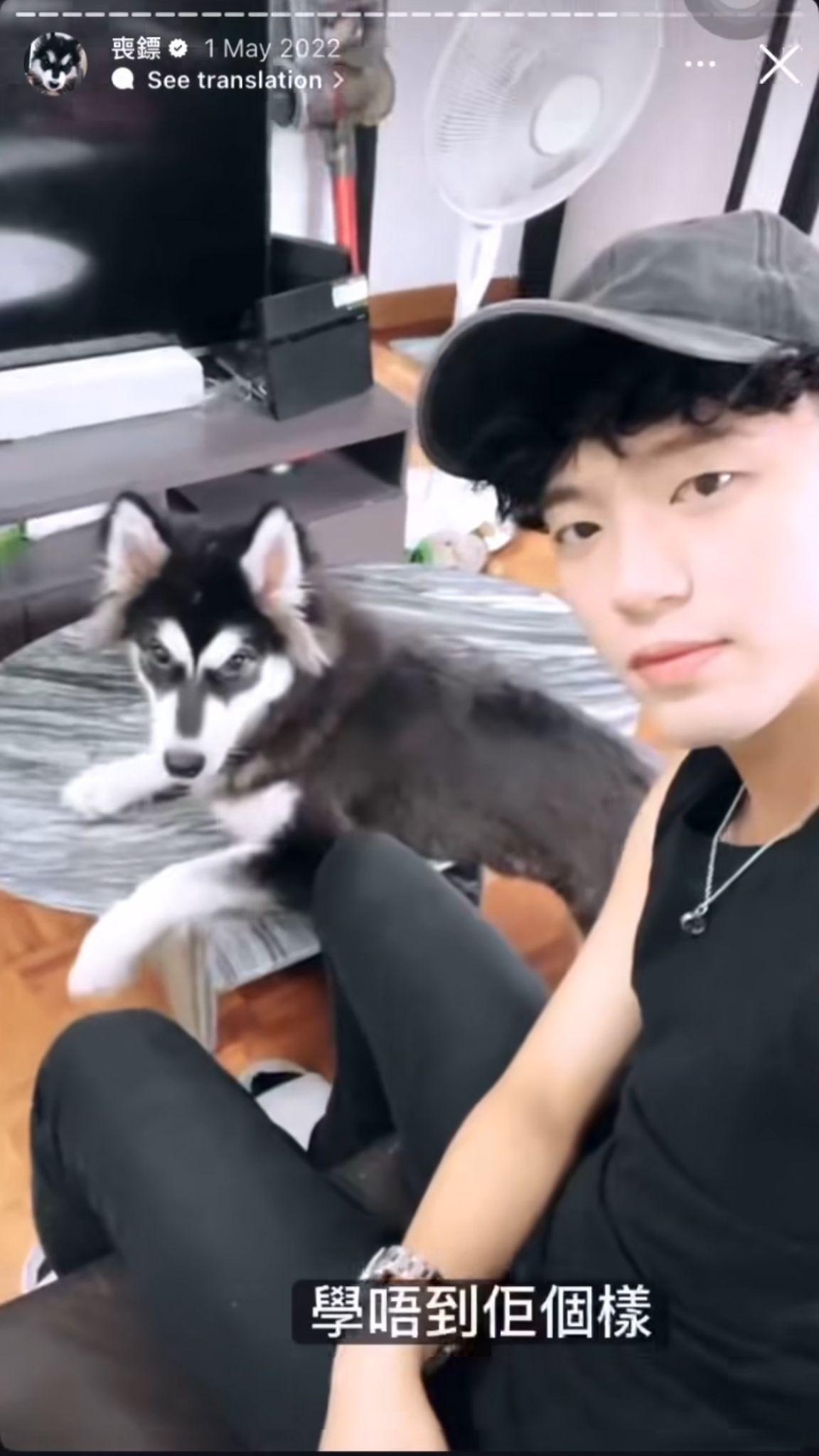 Kai Cheung被公開昔日與雪橇犬「喪標」的影片。