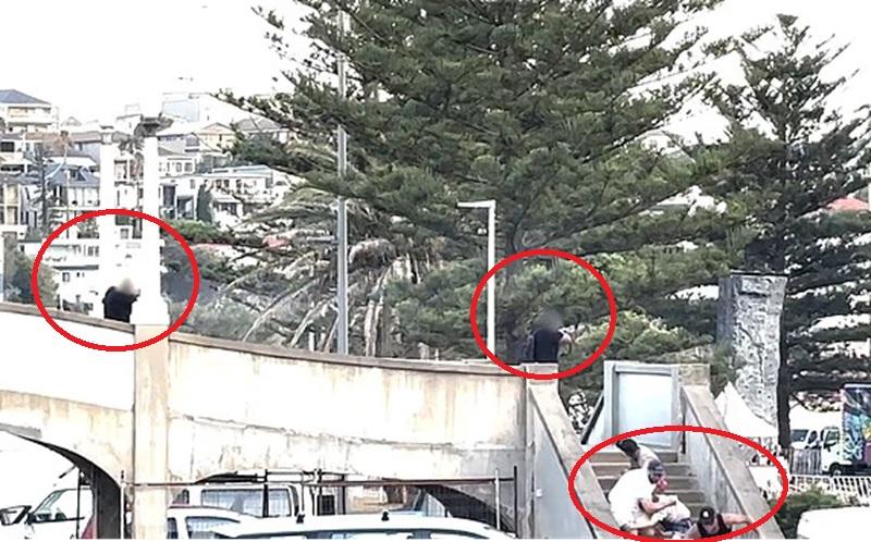 悉尼海灘槍擊案|