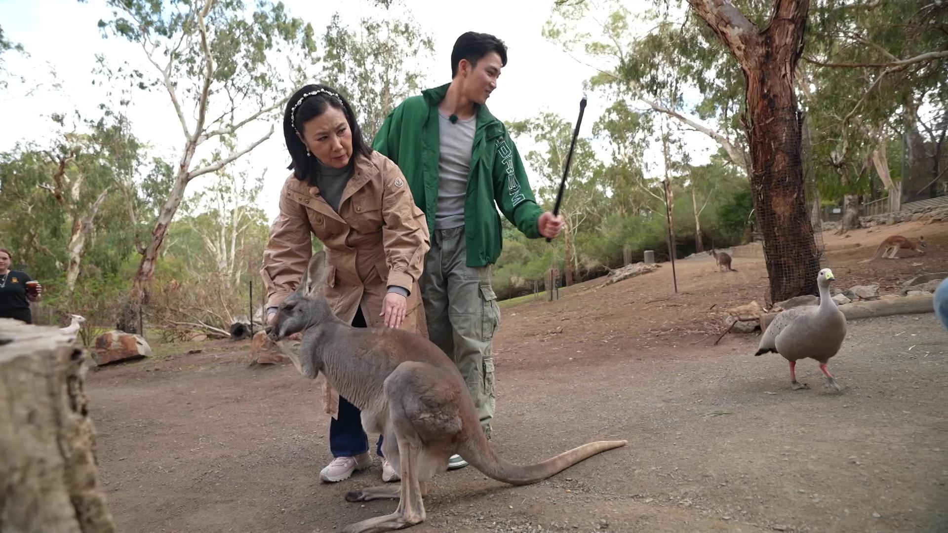 明晚一集,二人去到動物園