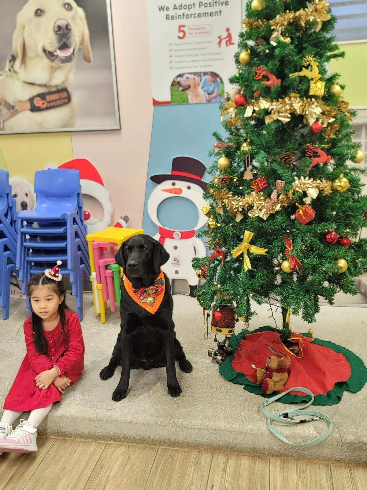 參加者可與導盲犬/輔助治療犬互動合照。(香港導盲犬協會FB圖片)