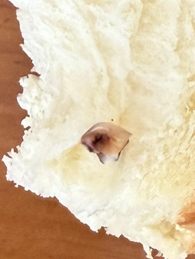 有網民發帖稱,其家人在連鎖麵包店美心西餅買入特濃牛奶麵包,進食時發現內含一隻黑色的疑似蛀牙物體(Threads)