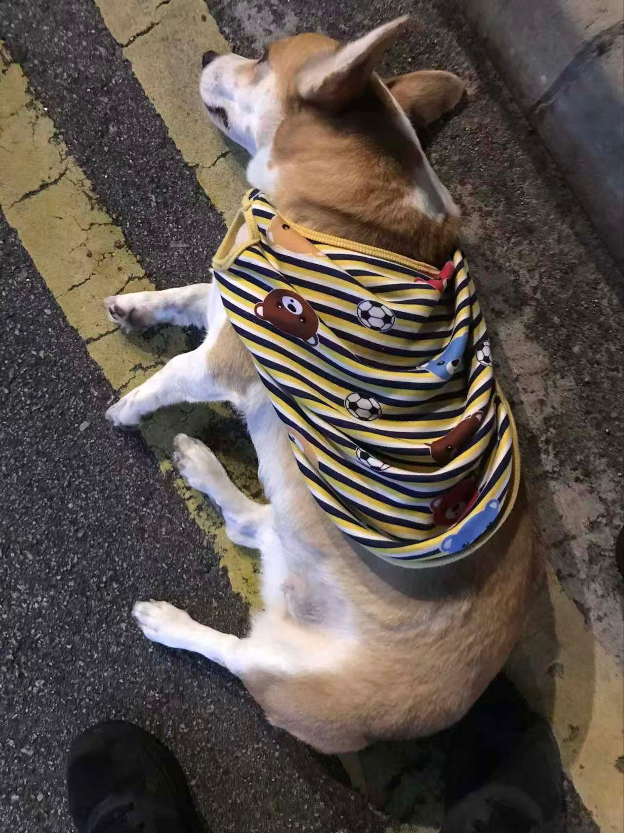 @FB Kray Ronald 圖片