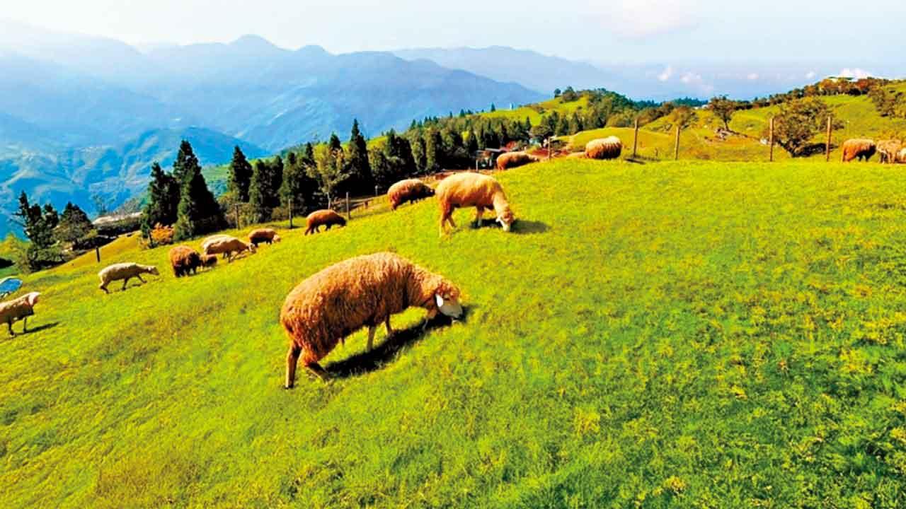 高雄佛光山×台中慢活美食5天團