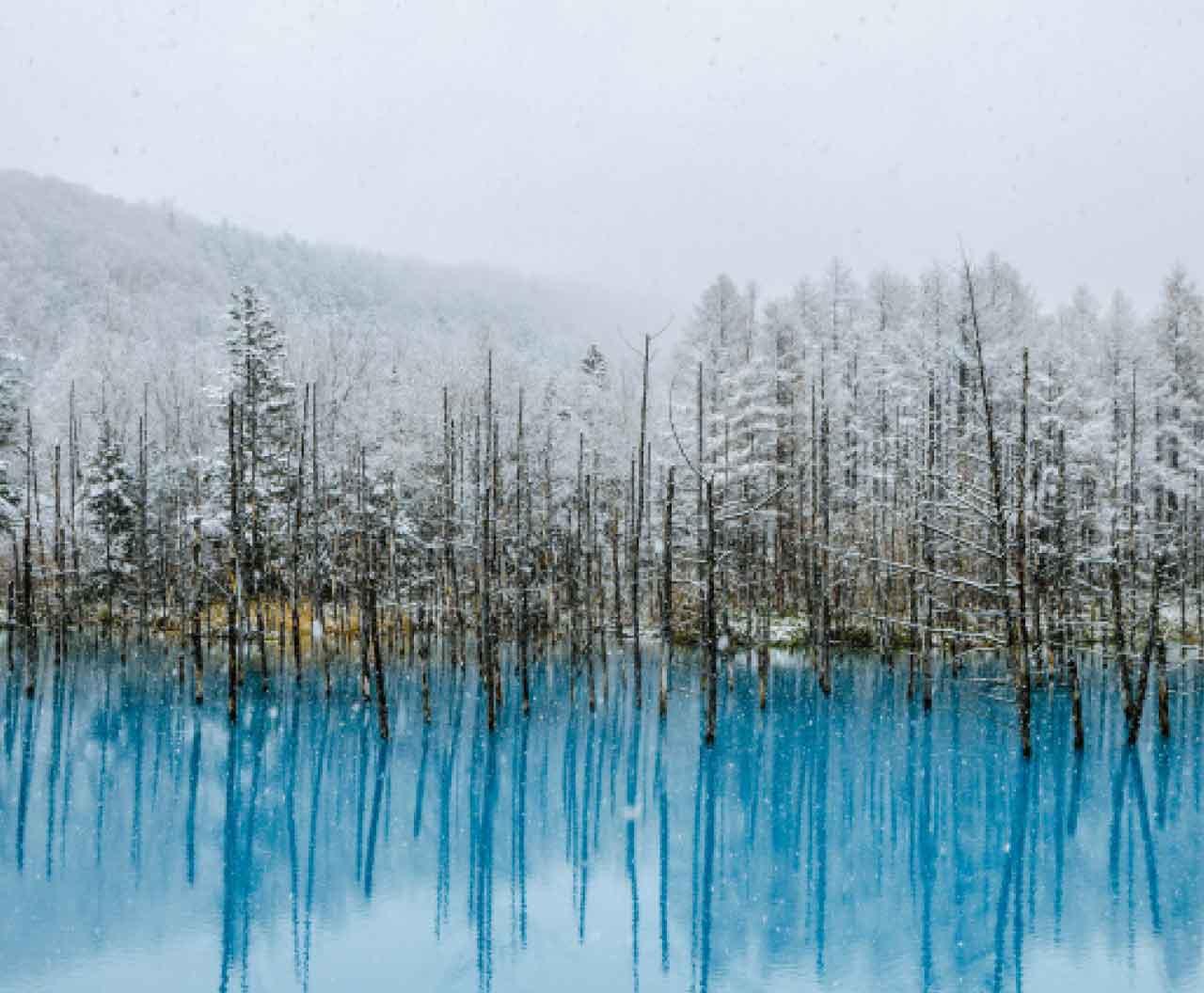 穿越亞洲雪國 7天帶大家遊走日本遺珠