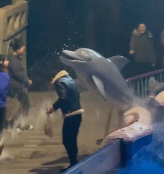 香煙熜滅,點煙男亦敗走水族館。