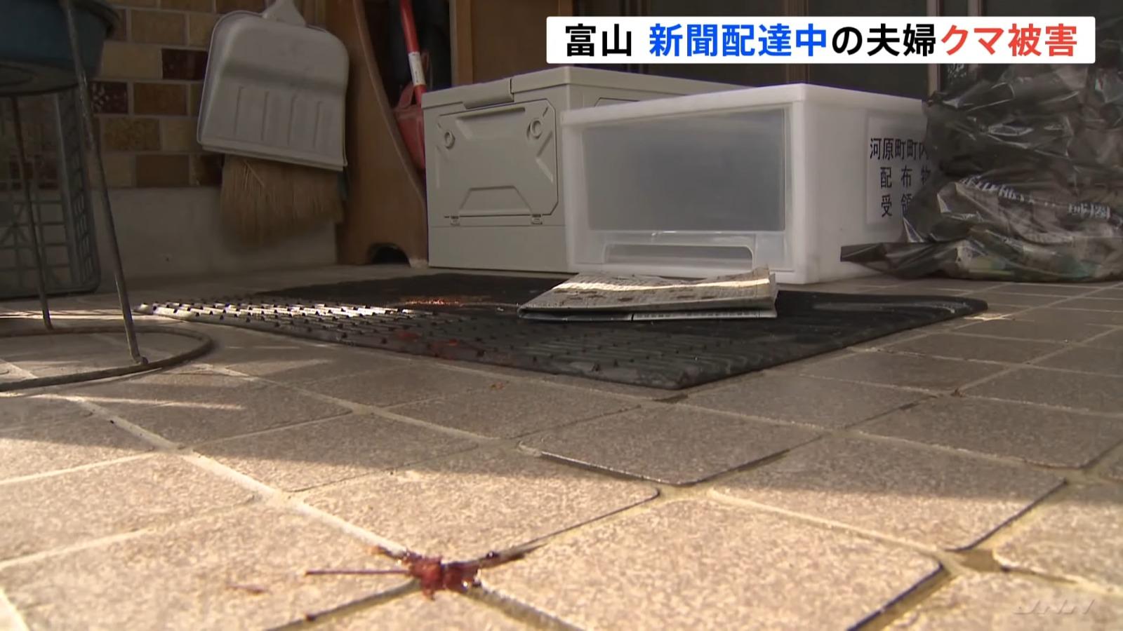 地上仍留下被熊襲擊後的血漬。(影片截圖)